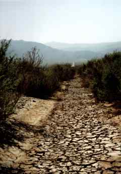 death valley